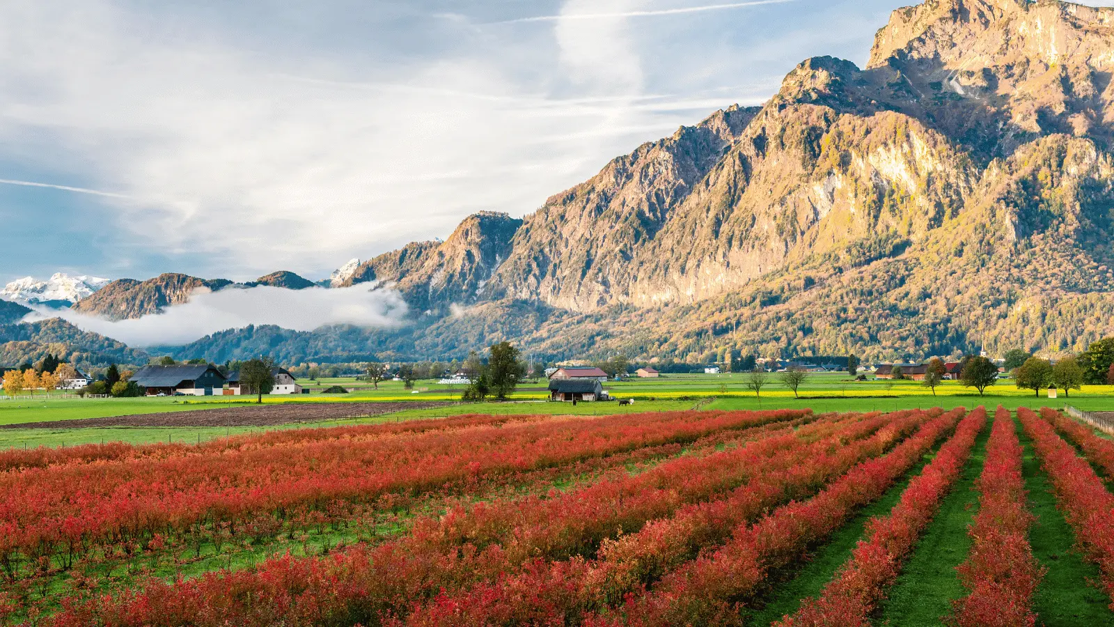 General Assembly of the Austrian Association of Leasing Companies (VÖL)